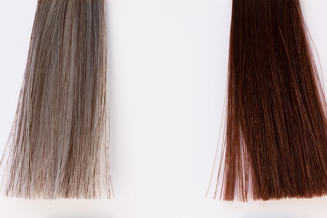 Gloss - Medium Hair