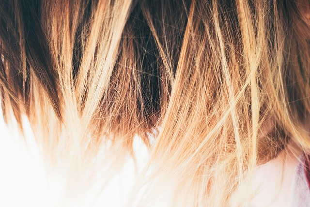 Slicing/Balayage/Ombre - Extra Long