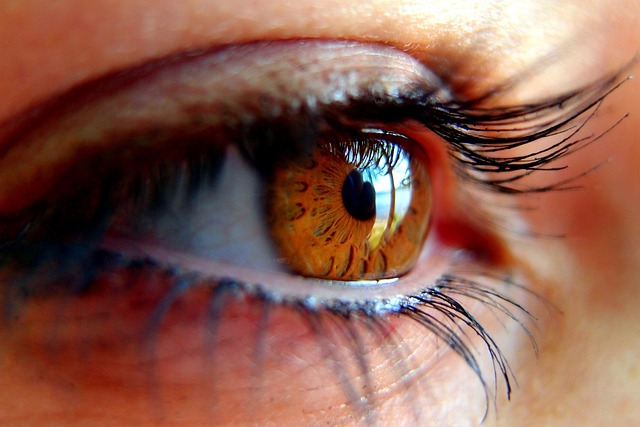 Eye lashes 